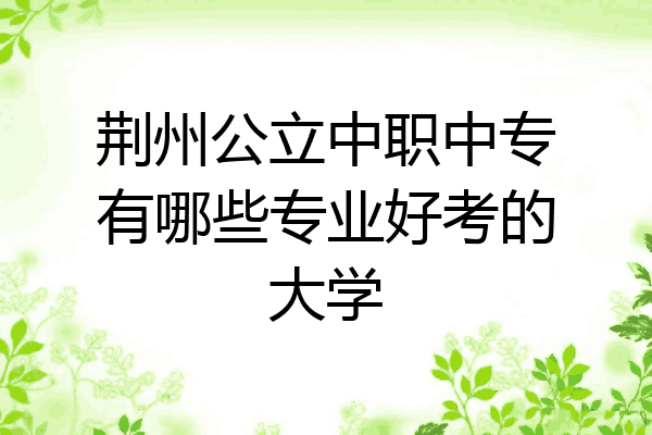 荆州公立中职中专有哪些专业好考的大学