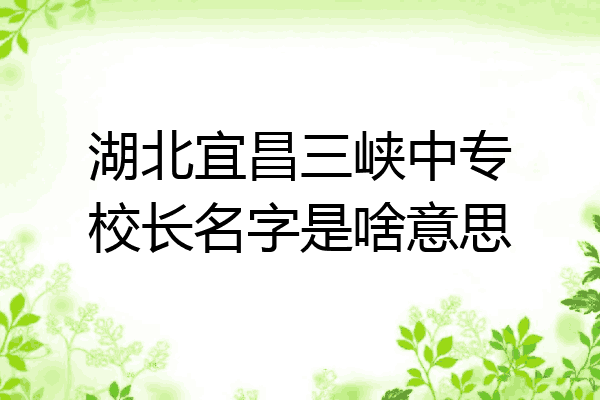湖北宜昌三峡中专校长名字是啥意思