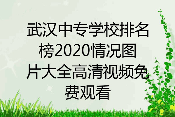 武汉中专学校排名榜2020情况图片大全高清视频免费观看