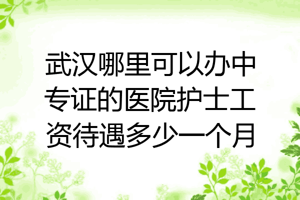 武汉哪里可以办中专证的医院护士工资待遇多少一个月