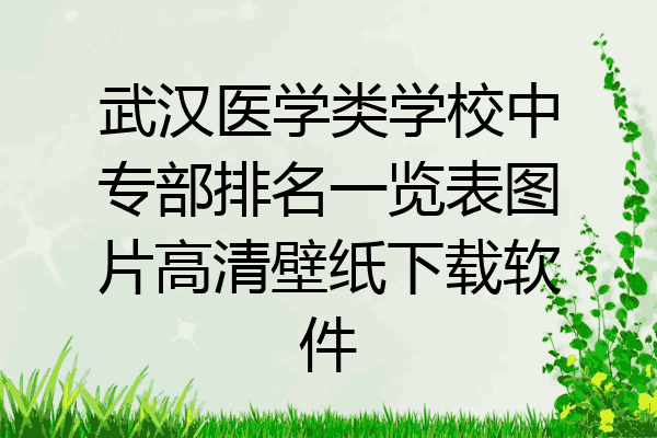 武汉医学类学校中专部排名一览表图片高清壁纸下载软件
