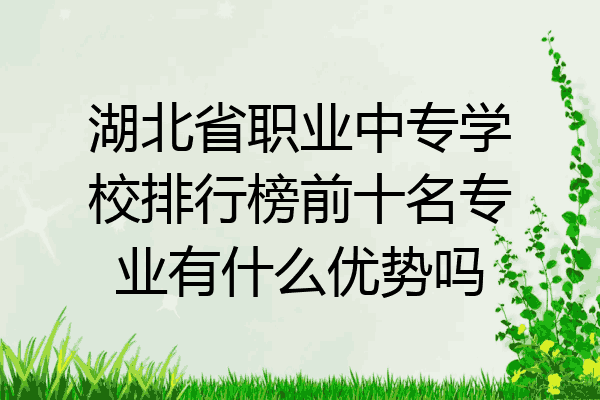 湖北省职业中专学校排行榜前十名专业有什么优势吗