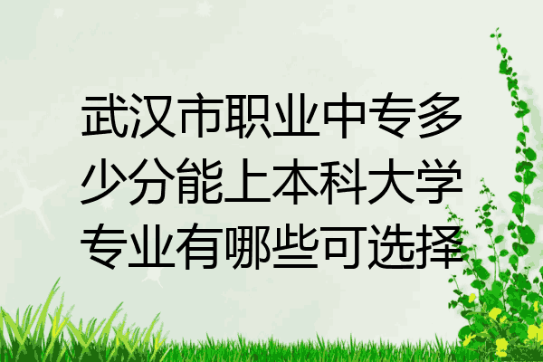 武汉市职业中专多少分能上本科大学专业有哪些可选择