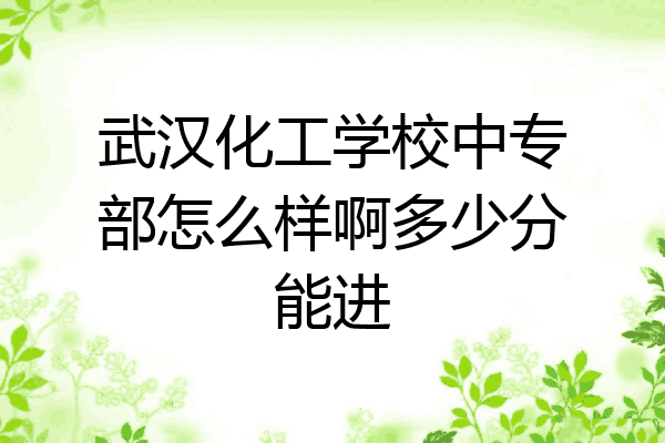 武汉化工学校中专部怎么样啊多少分能进