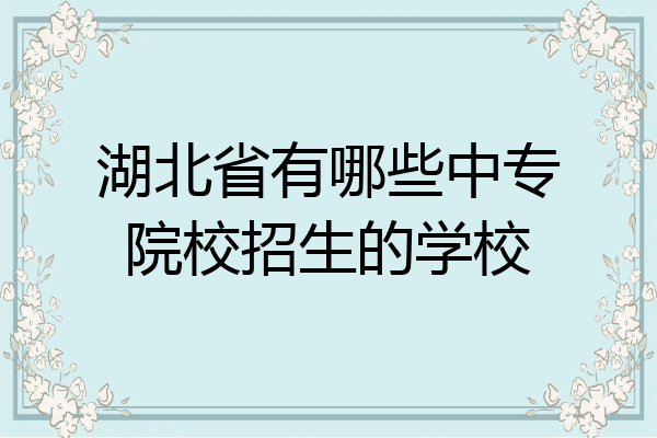 湖北省有哪些中专院校招生的学校