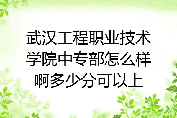 武汉工程职业技术学院中专部怎么样啊多少分可以上