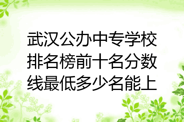 武汉公办中专学校排名榜前十名分数线最低多少名能上