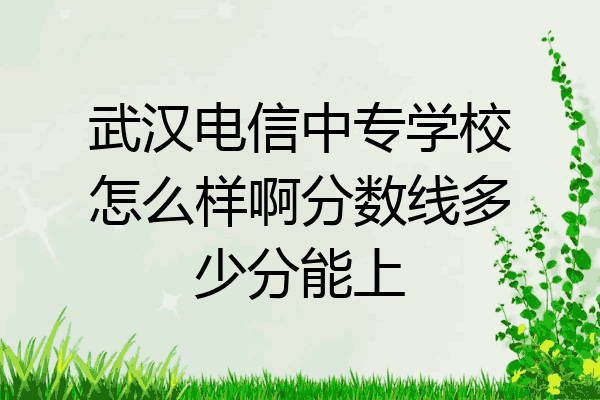 武汉电信中专学校怎么样啊分数线多少分能上