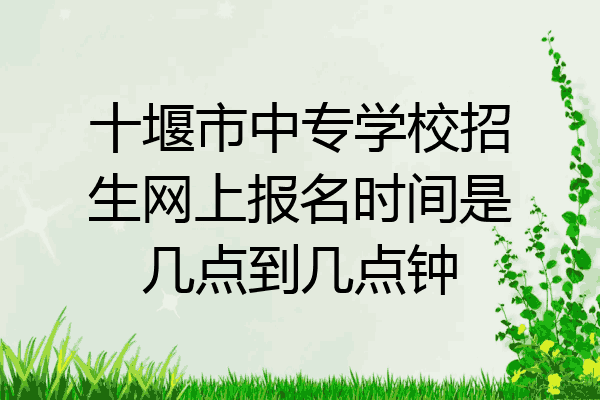 十堰市中专学校招生网上报名时间是几点到几点钟