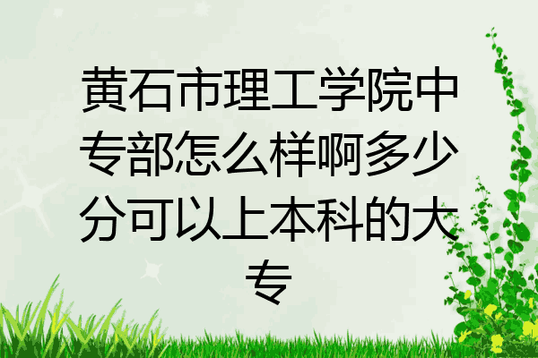 黄石市理工学院中专部怎么样啊多少分可以上本科的大专
