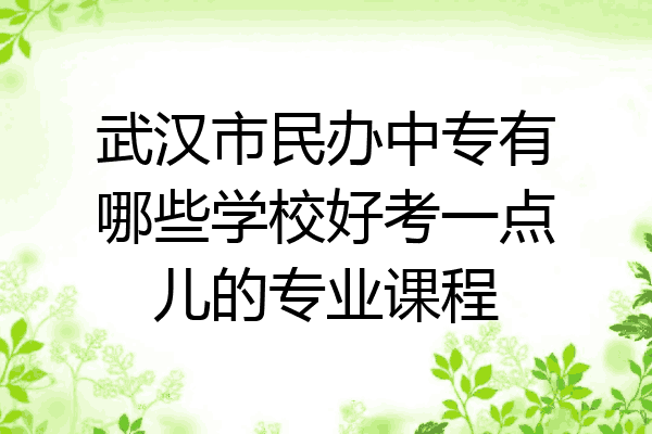 武汉市民办中专有哪些学校好考一点儿的专业课程