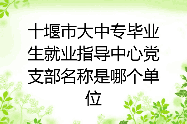 十堰市大中专毕业生就业指导中心党支部名称是哪个单位