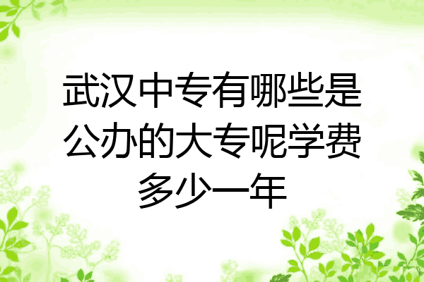 武汉中专有哪些是公办的大专呢学费多少一年