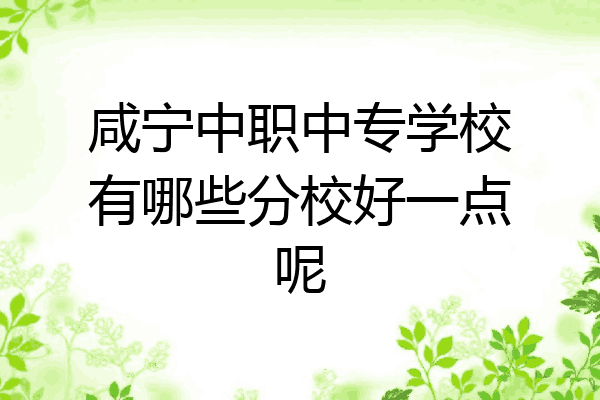 咸宁中职中专学校有哪些分校好一点呢