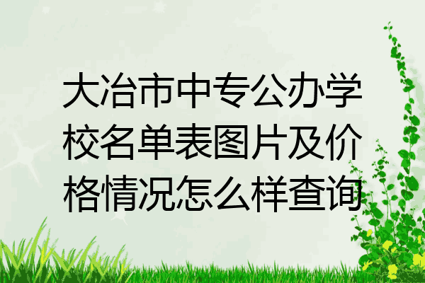 大冶市中专公办学校名单表图片及价格情况怎么样查询