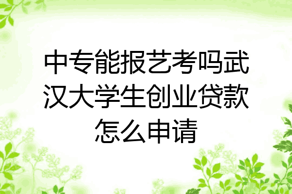 中专能报艺考吗武汉大学生创业贷款怎么申请