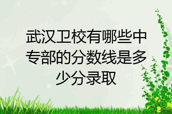 武汉卫校有哪些中专部的分数线是多少分录取