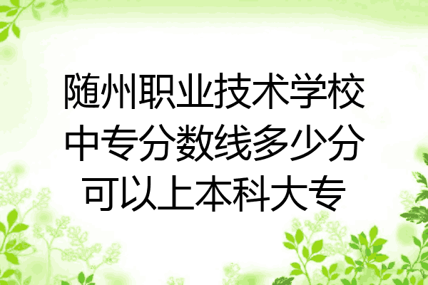 随州职业技术学校中专分数线多少分可以上本科大专
