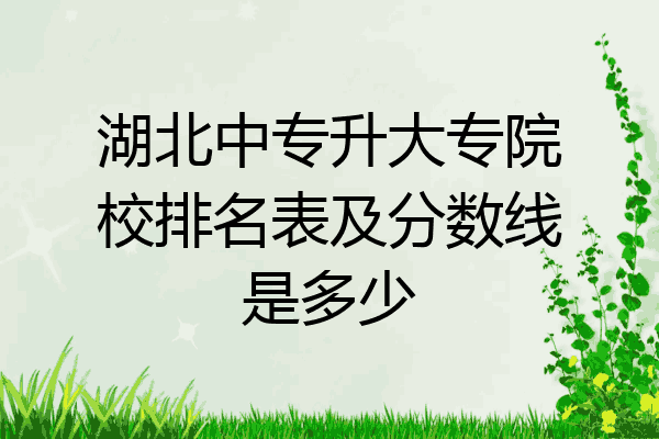 湖北中专升大专院校排名表及分数线是多少