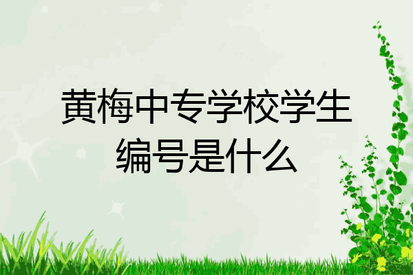 黄梅中专学校学生编号是什么