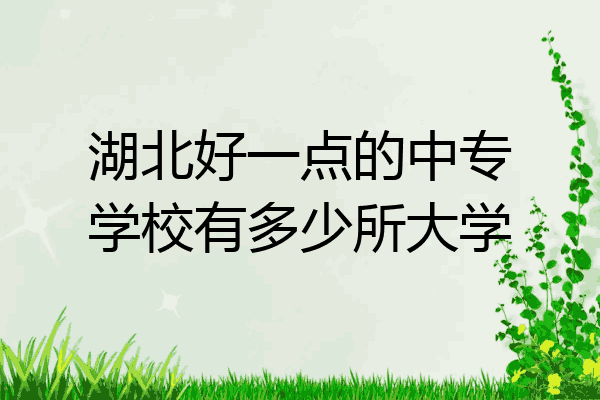 湖北好一点的中专学校有多少所大学