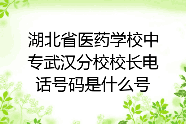 湖北省医药学校中专武汉分校校长电话号码是什么号