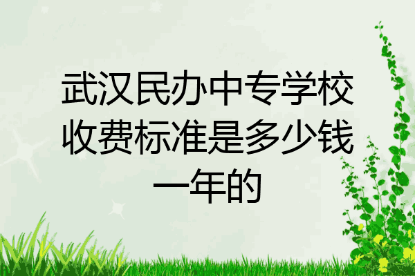 武汉民办中专学校收费标准是多少钱一年的
