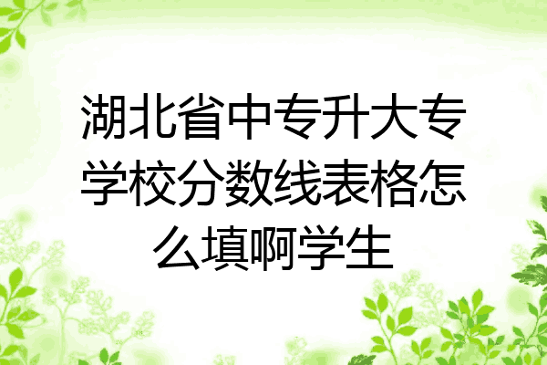 湖北省中专升大专学校分数线表格怎么填啊学生