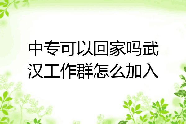中专可以回家吗武汉工作群怎么加入