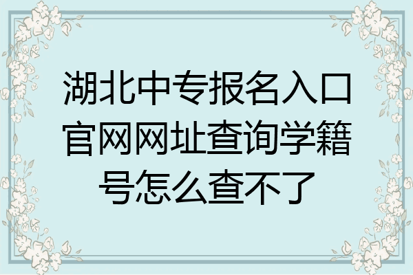 湖北中专报名入口官网网址查询学籍号怎么查不了