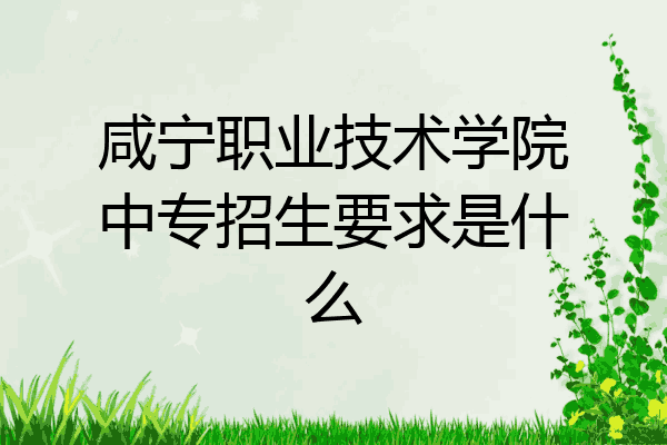 咸宁职业技术学院中专招生要求是什么