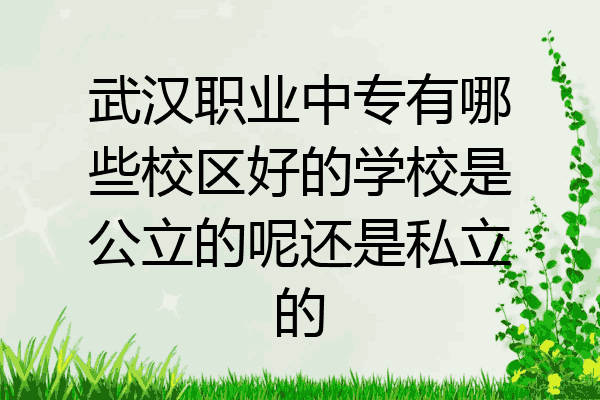 武汉职业中专有哪些校区好的学校是公立的呢还是私立的