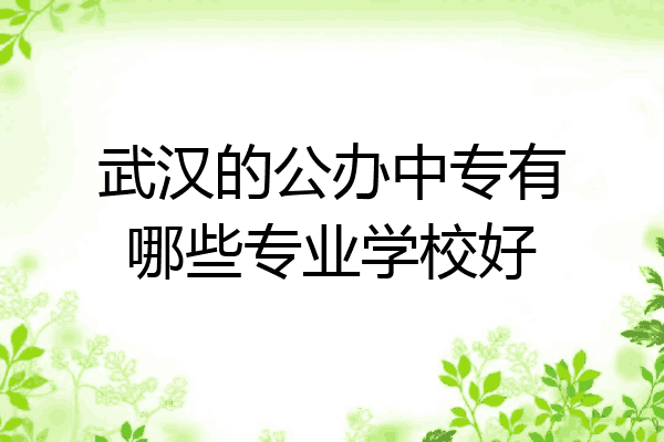 武汉的公办中专有哪些专业学校好
