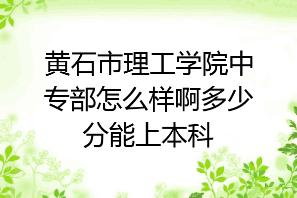 黄石市理工学院中专部怎么样啊多少分能上本科