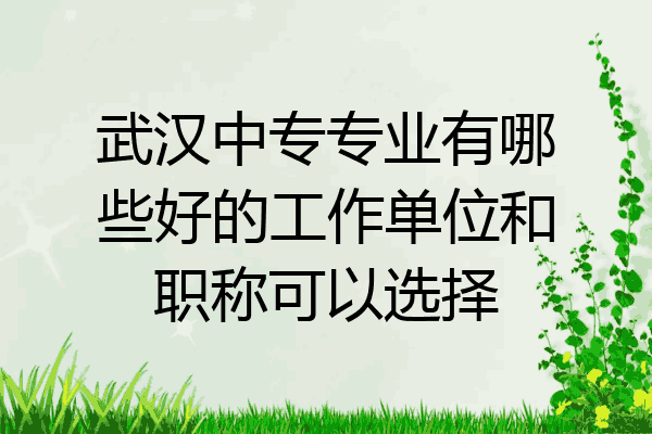 武汉中专专业有哪些好的工作单位和职称可以选择