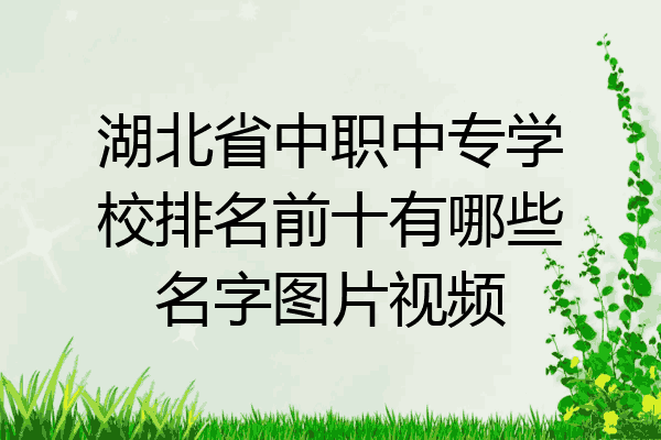 湖北省中职中专学校排名前十有哪些名字图片视频