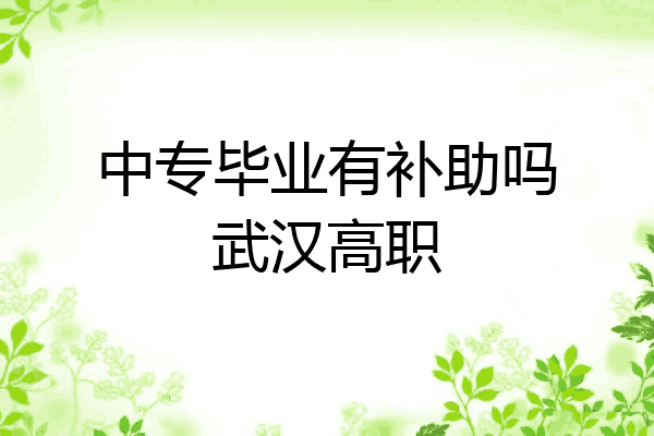 中专毕业有补助吗武汉高职