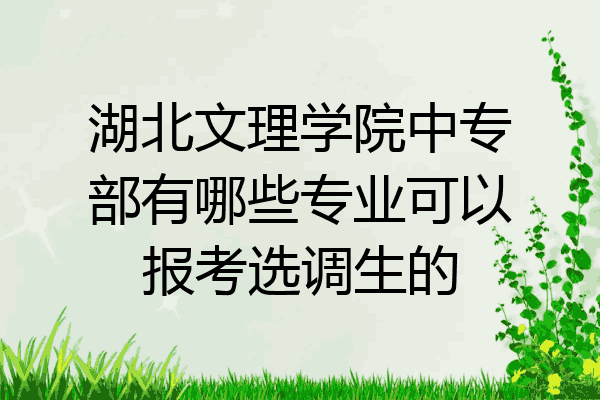 湖北文理学院中专部有哪些专业可以报考选调生的