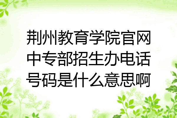 荆州教育学院官网中专部招生办电话号码是什么意思啊