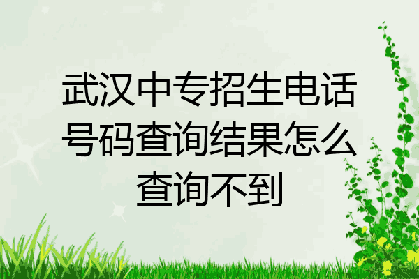 武汉中专招生电话号码查询结果怎么查询不到