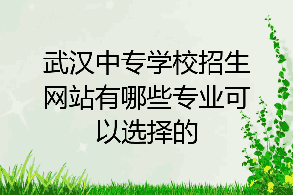 武汉中专学校招生网站有哪些专业可以选择的