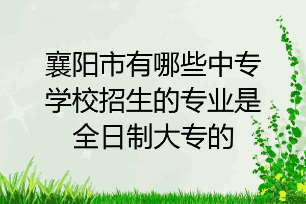 襄阳市有哪些中专学校招生的专业是全日制大专的