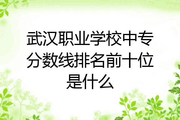 武汉职业学校中专分数线排名前十位是什么