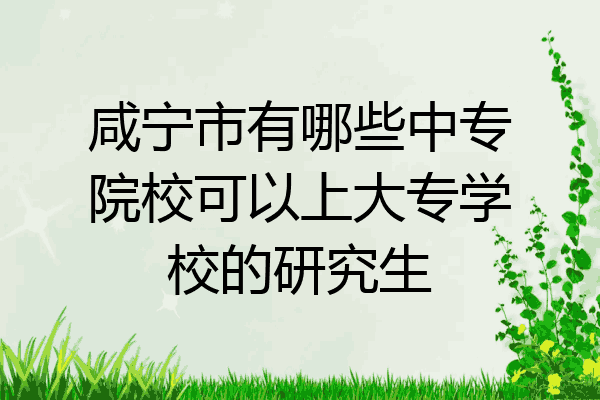 咸宁市有哪些中专院校可以上大专学校的研究生