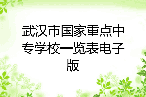 武汉市国家重点中专学校一览表电子版