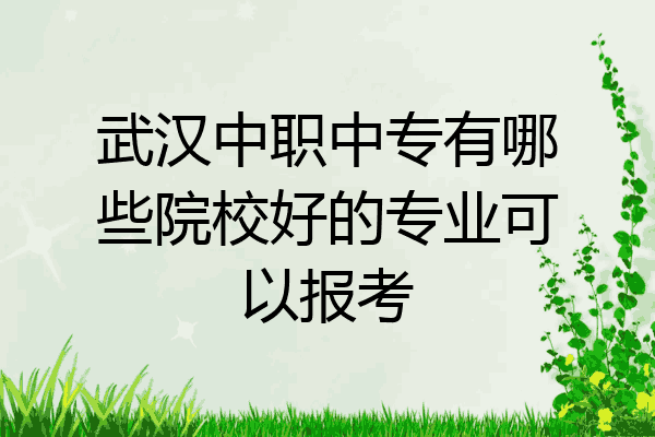 武汉中职中专有哪些院校好的专业可以报考