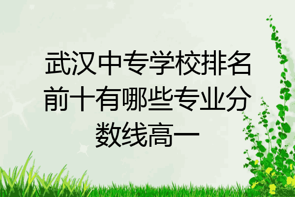 武汉中专学校排名前十有哪些专业分数线高一