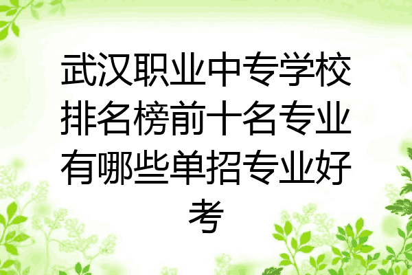 武汉职业中专学校排名榜前十名专业有哪些单招专业好考