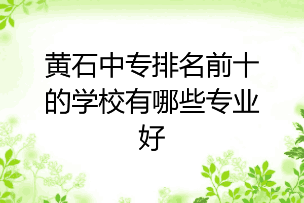 黄石中专排名前十的学校有哪些专业好