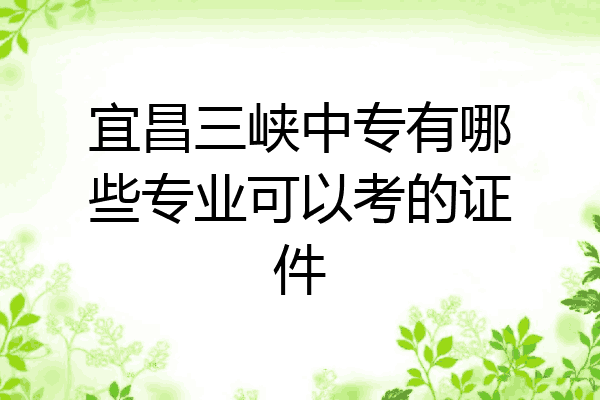 宜昌三峡中专有哪些专业可以考的证件